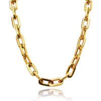 Inara Modern Muse Gold Chain Necklace image