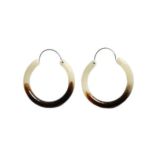 Carme Resin Hoop Earrings